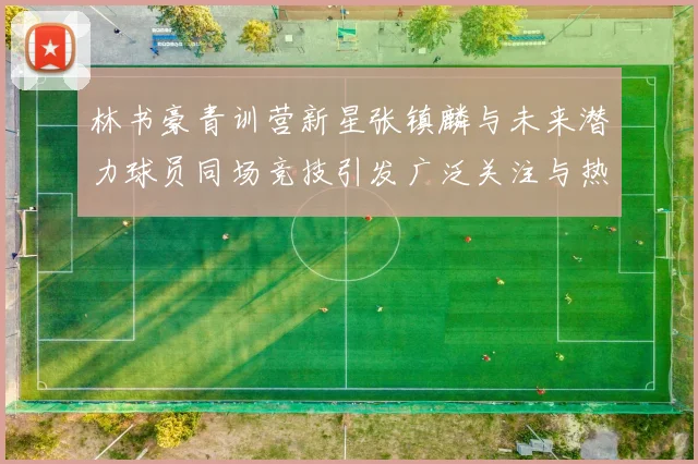 林书豪青训营新星张镇麟与未来潜力球员同场竞技引发广泛关注与热议